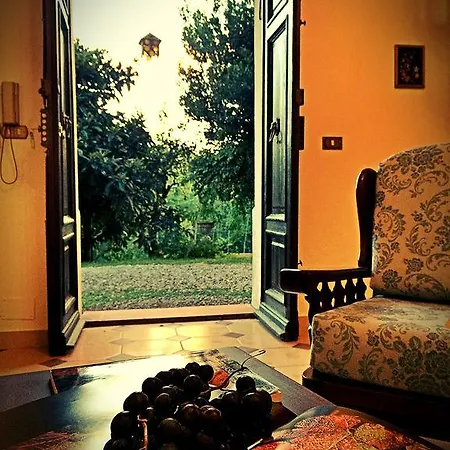 Paradise *